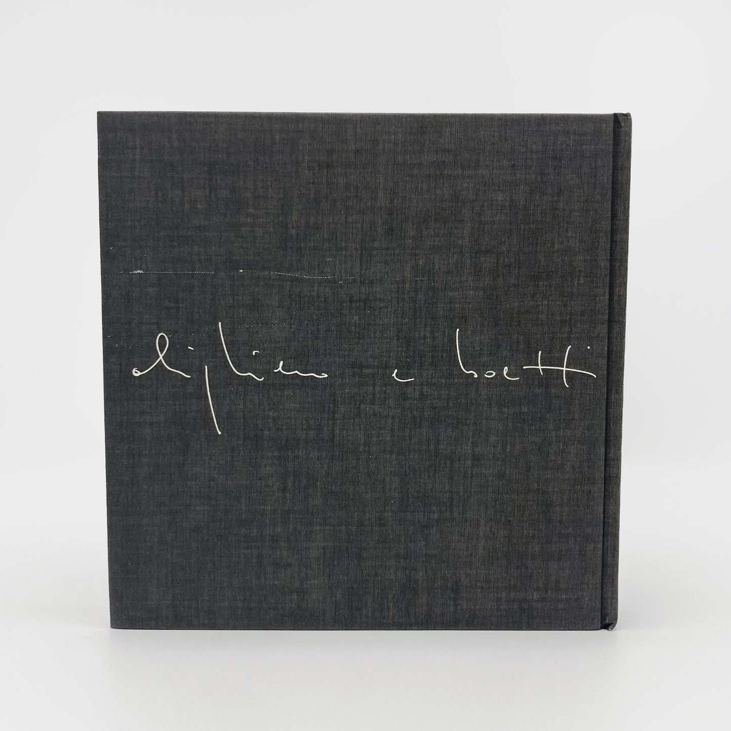 Alighiero Boetti: Mettere al Mondo il Mondo (Bringing the World into the World)