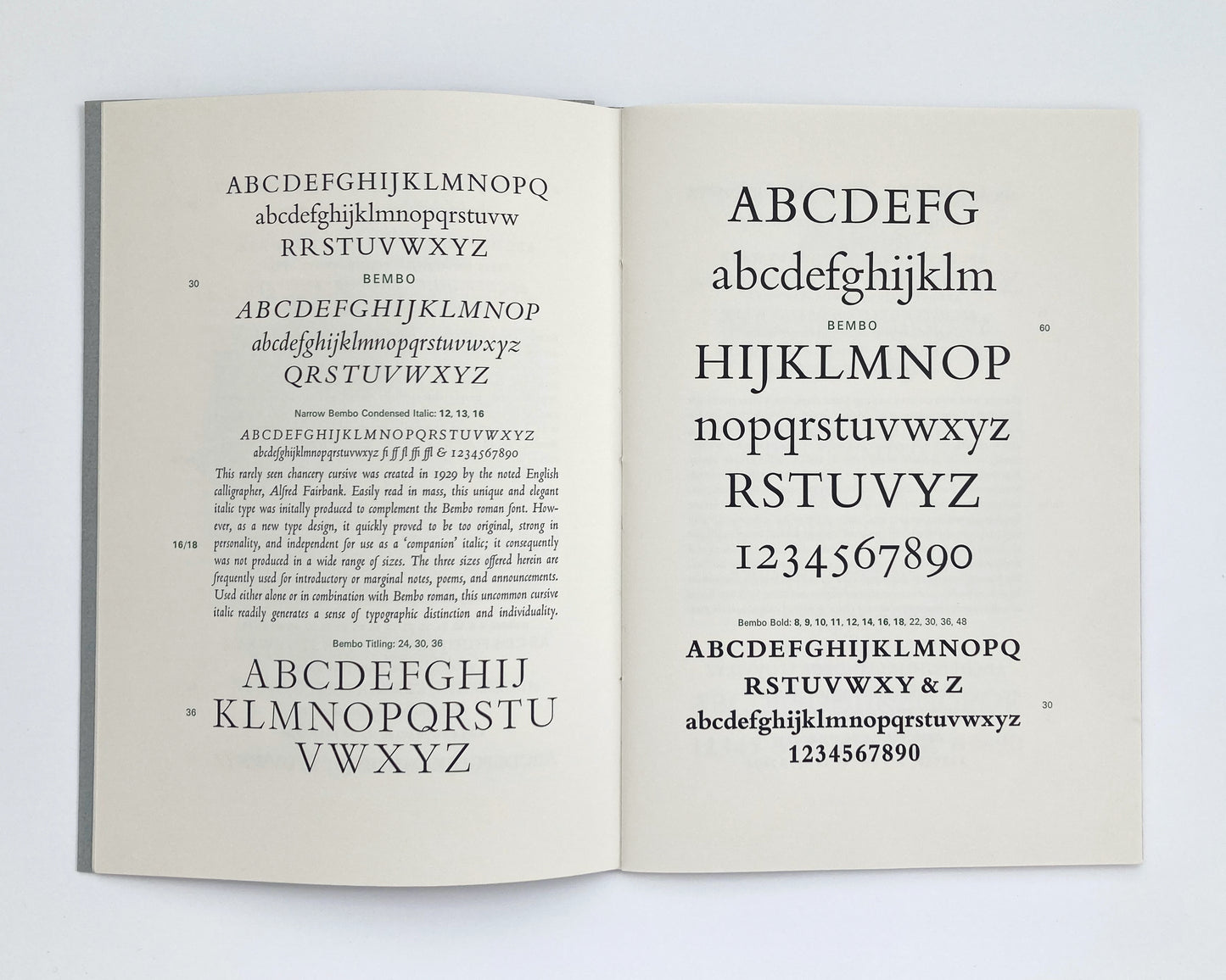 Miscellaneous Monotype Borders and Ornaments Including Specimens
