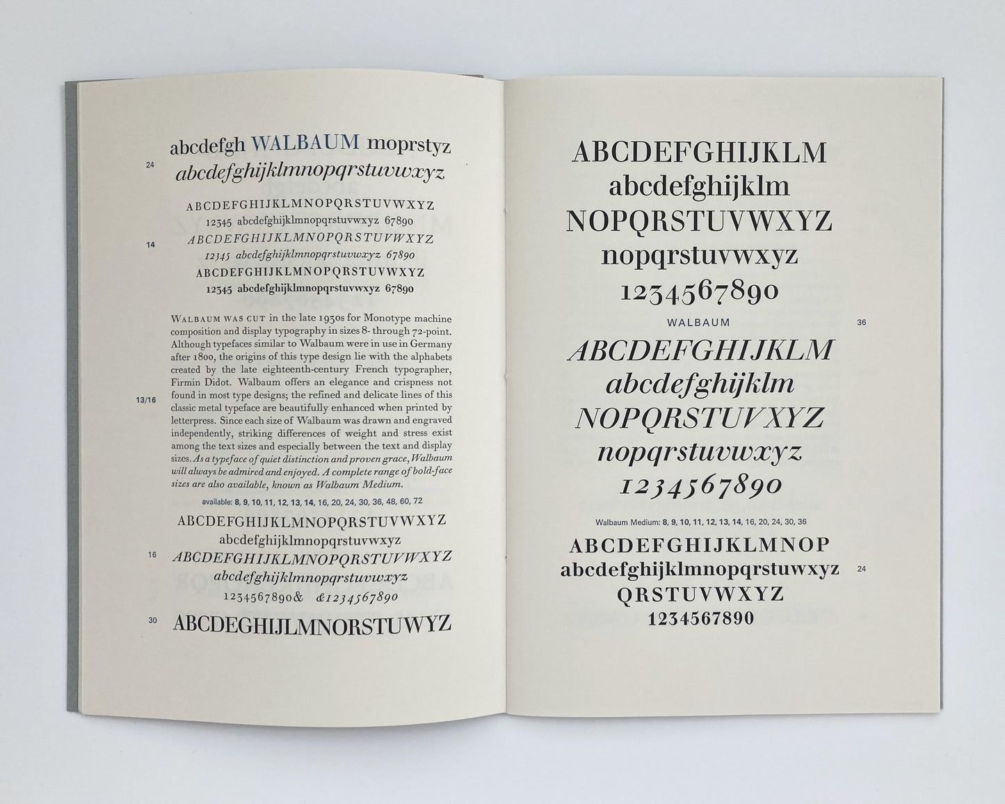 Miscellaneous Monotype Borders and Ornaments Including Specimens