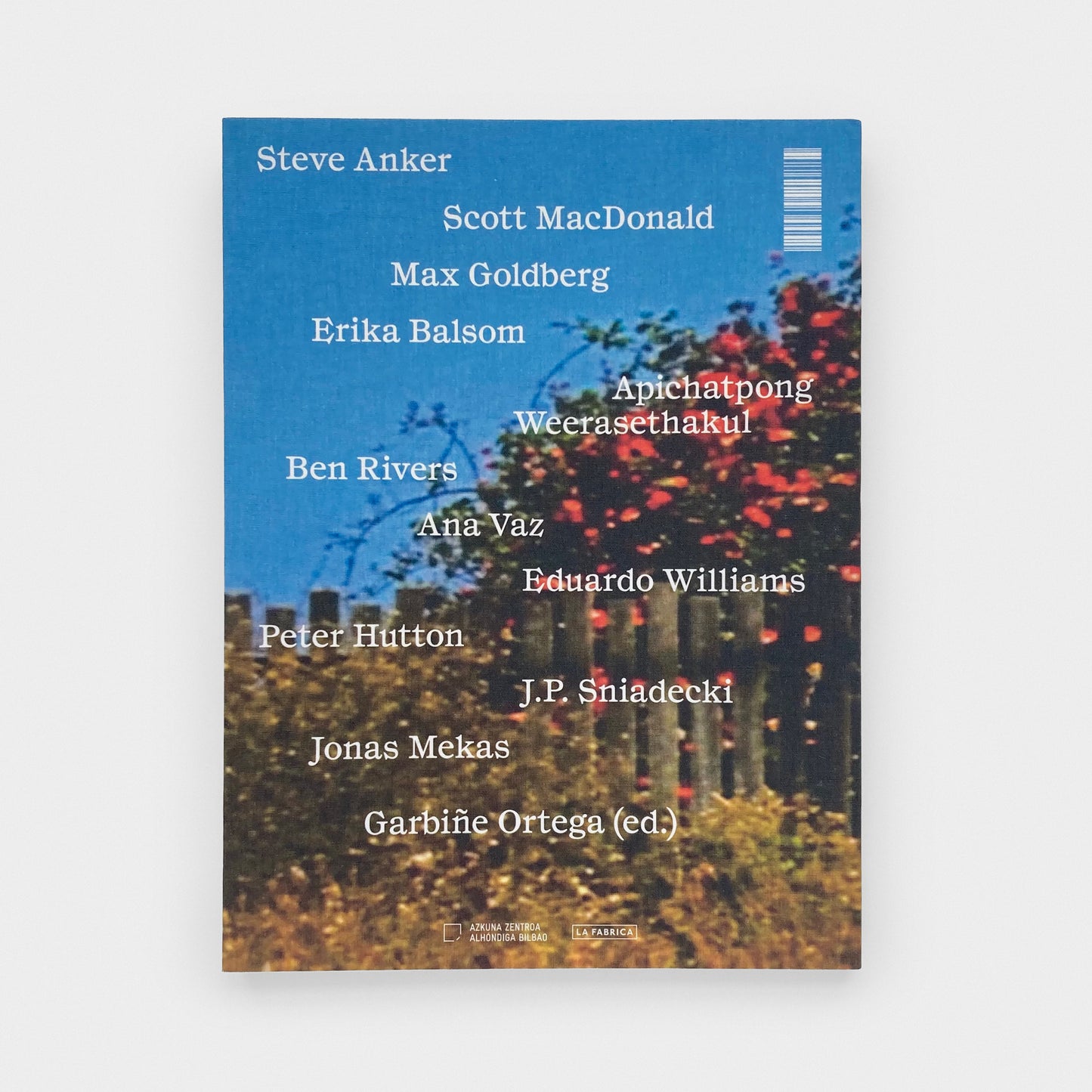 Bruce Baillie: Somewhere from Here to Heaven