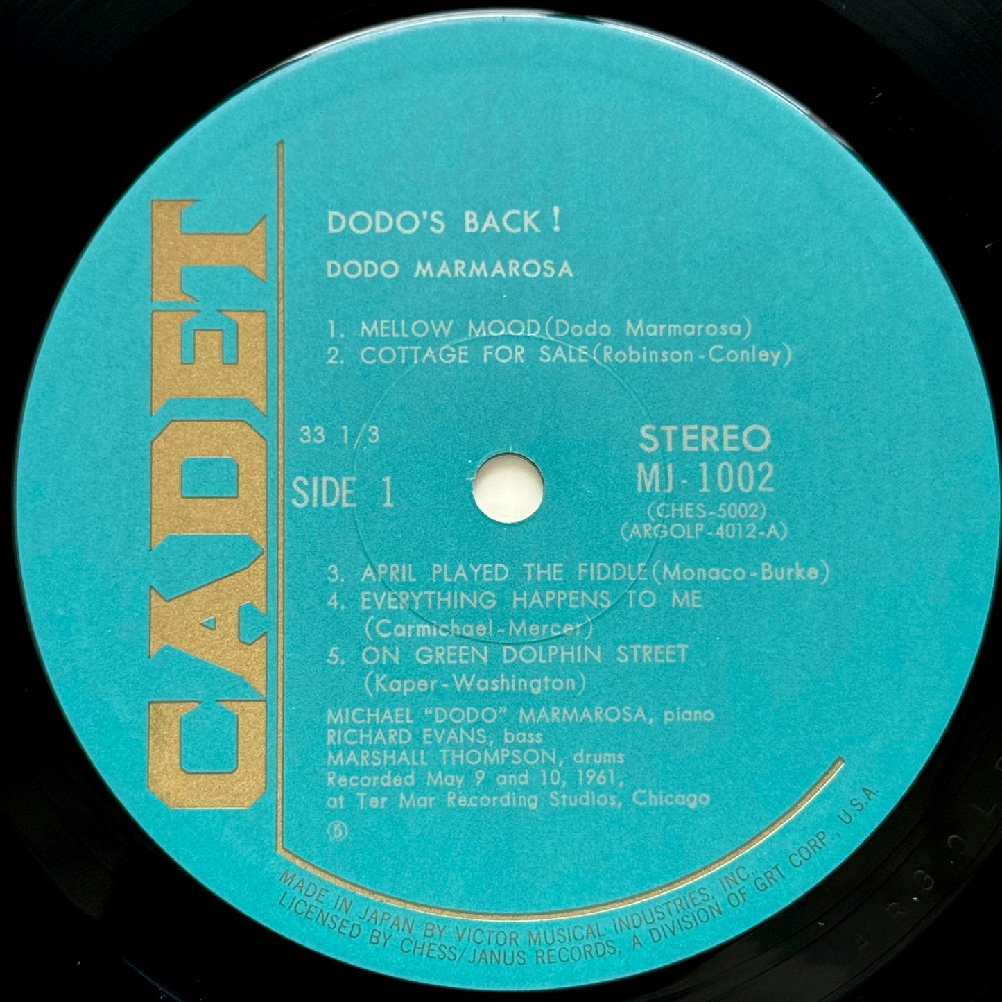 Dodo’s Back