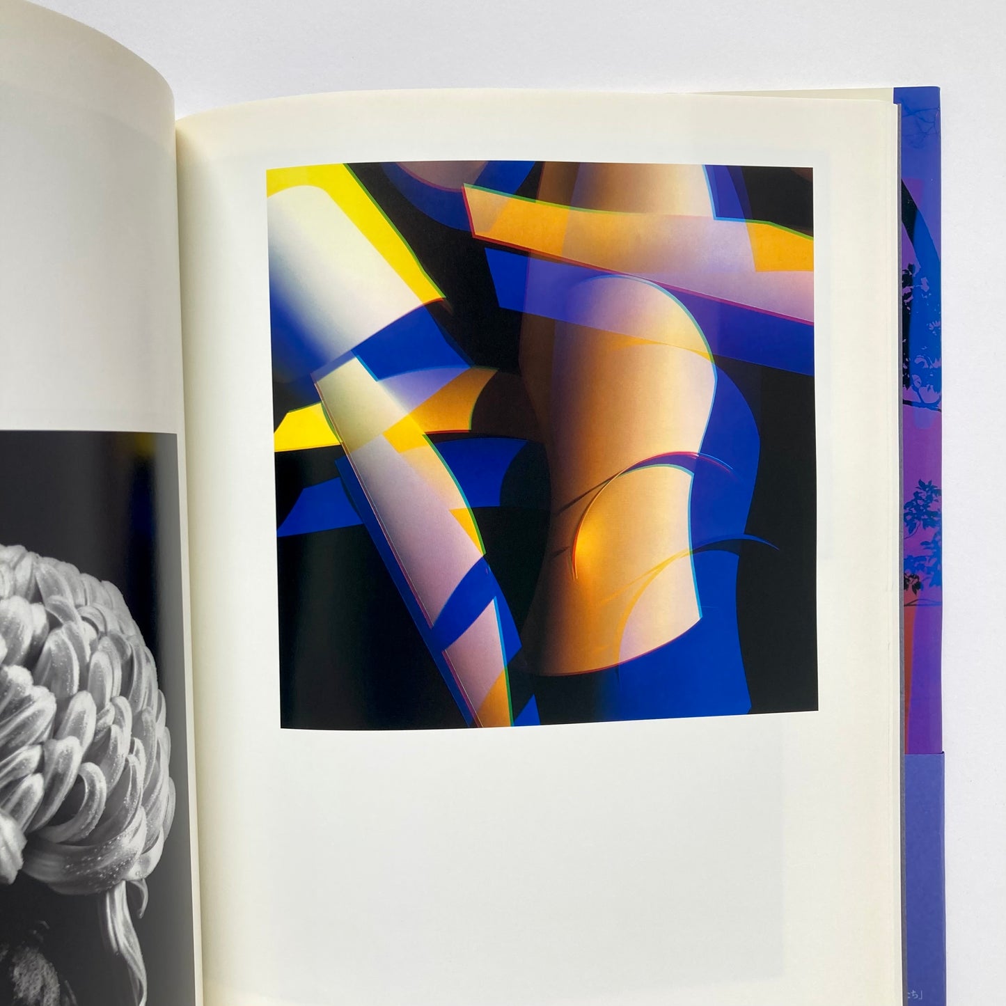 Color and Form