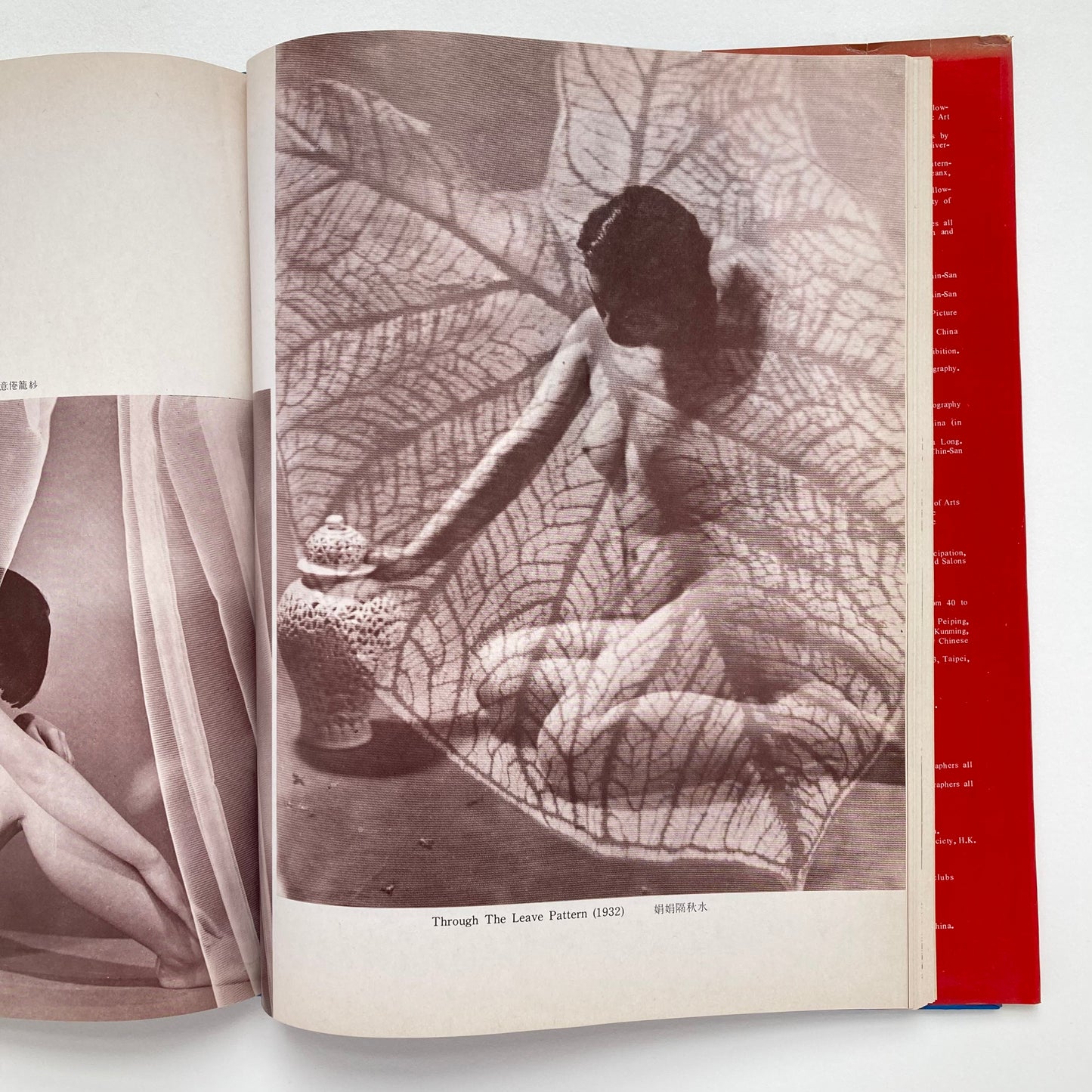 Photographic Works of Chin-San Long