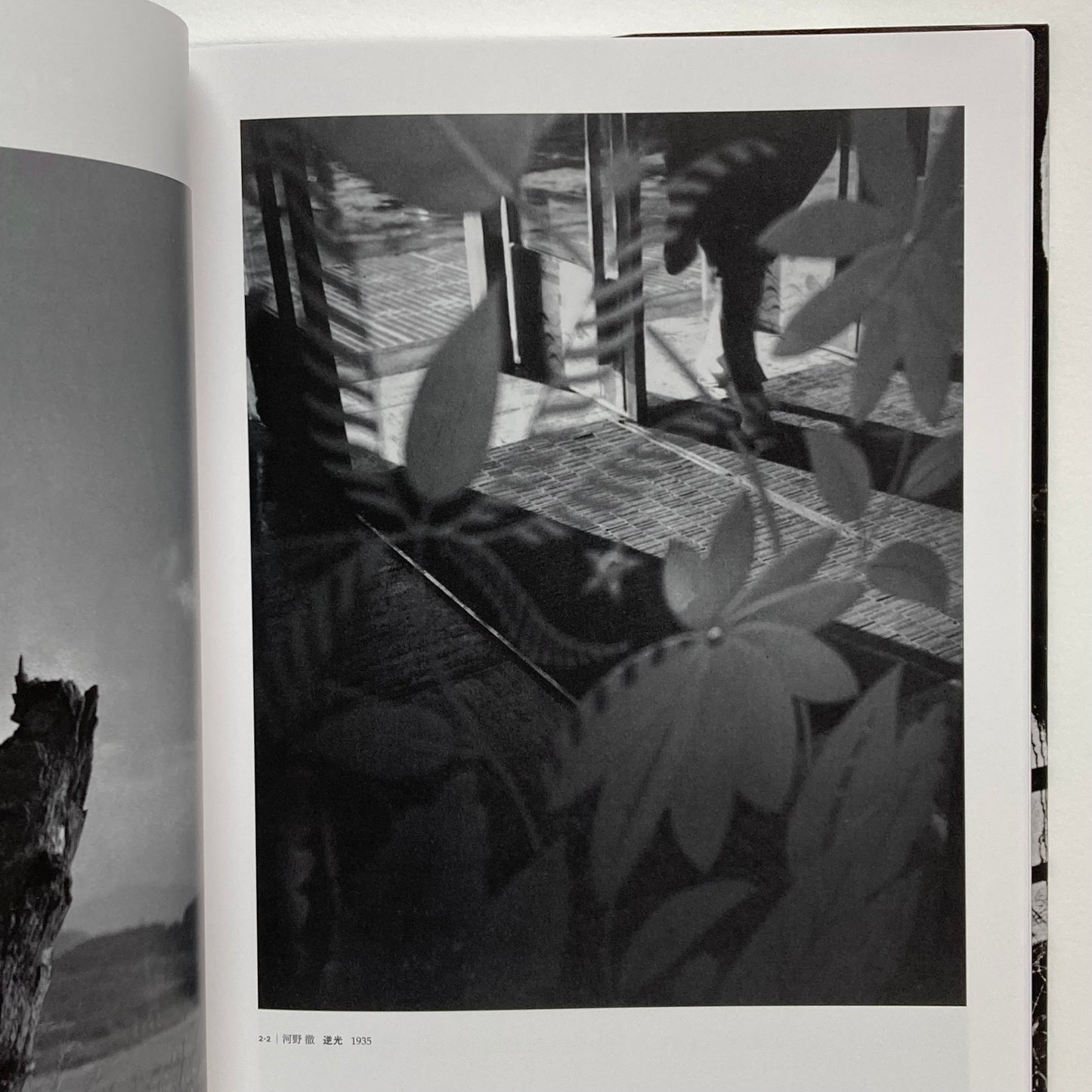 Avant-Garde Rising: The Photographic Vanguard in Modern Japan
