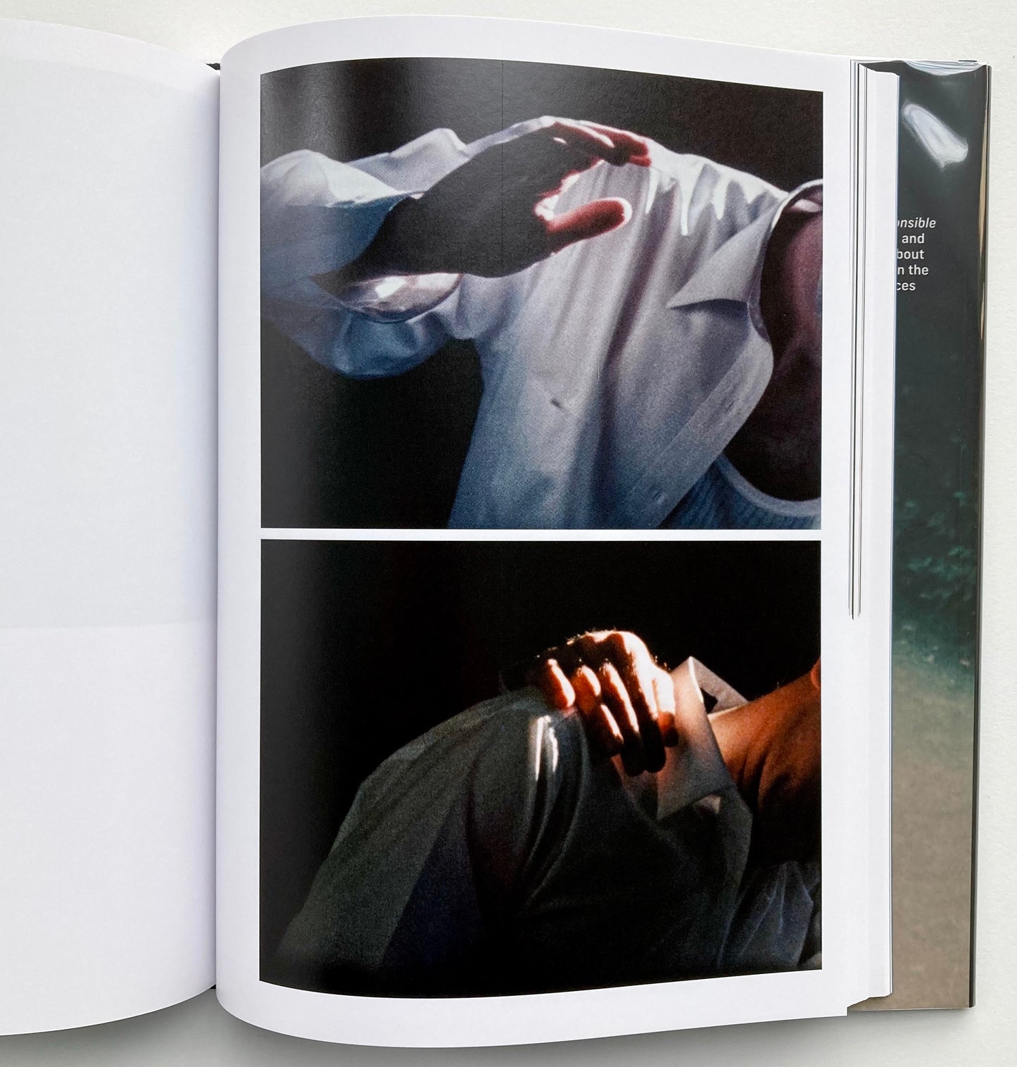 Double Vision: The Cinema of Robert Beavers