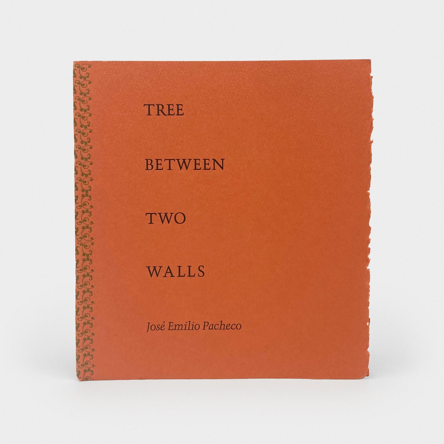 Tree Between Two Walls