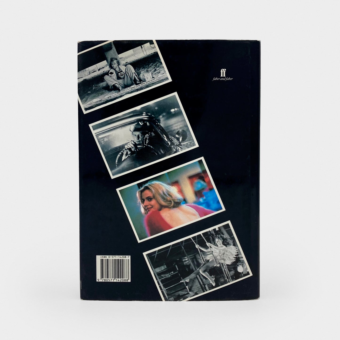 The Logic of Images: Essays and Conversations