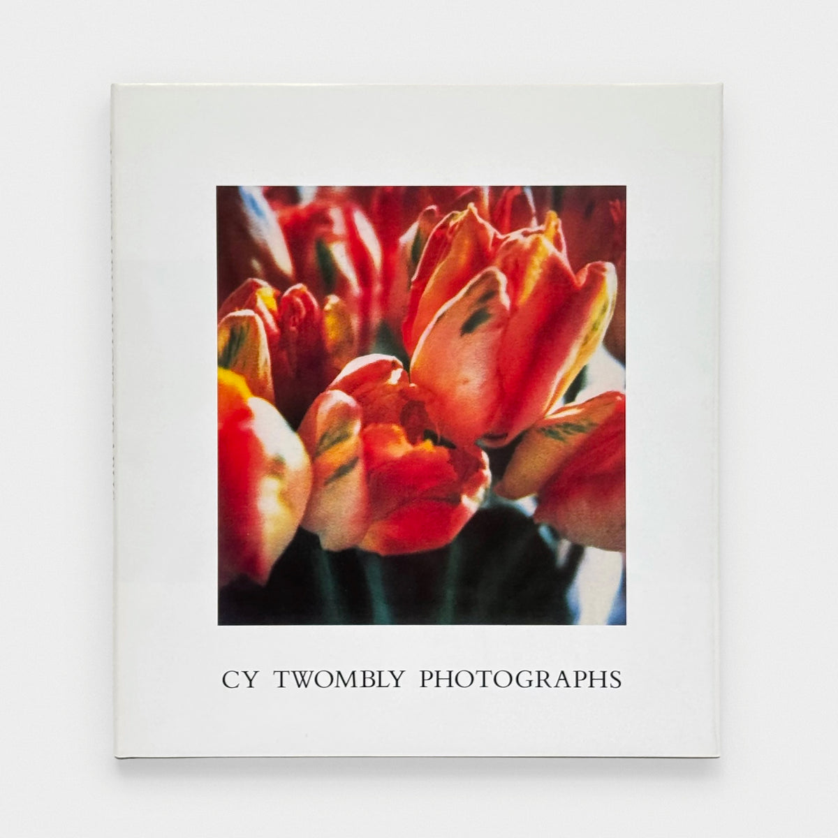 Cy Twombly Photographs