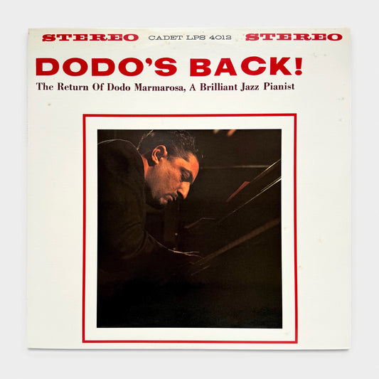 Dodo’s Back