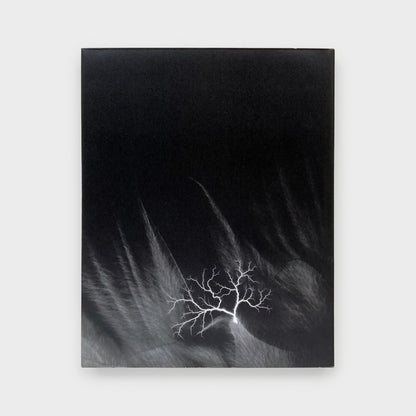 Hiroshi Sugimoto: Nature of Light