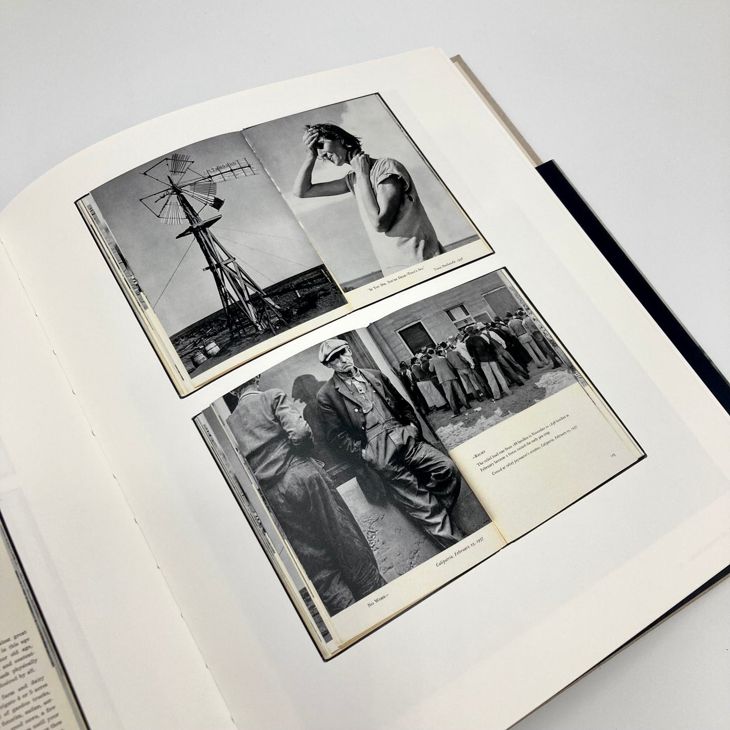 Dorothea Lange: Words & Pictures