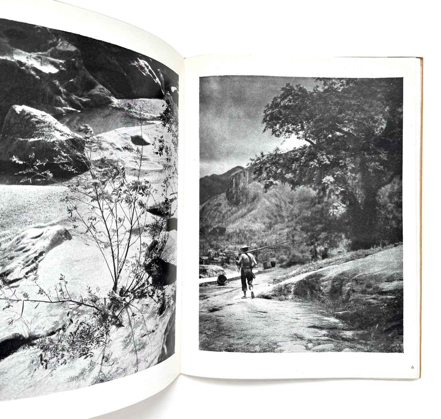 Symphony in Black and White - Signed