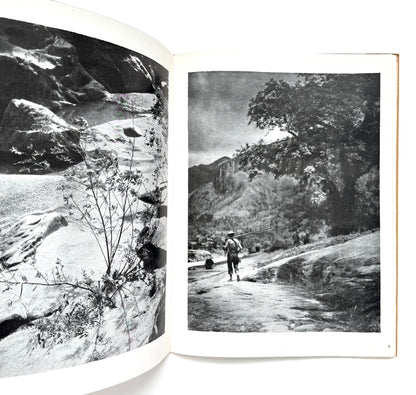 Symphony in Black and White - Signed