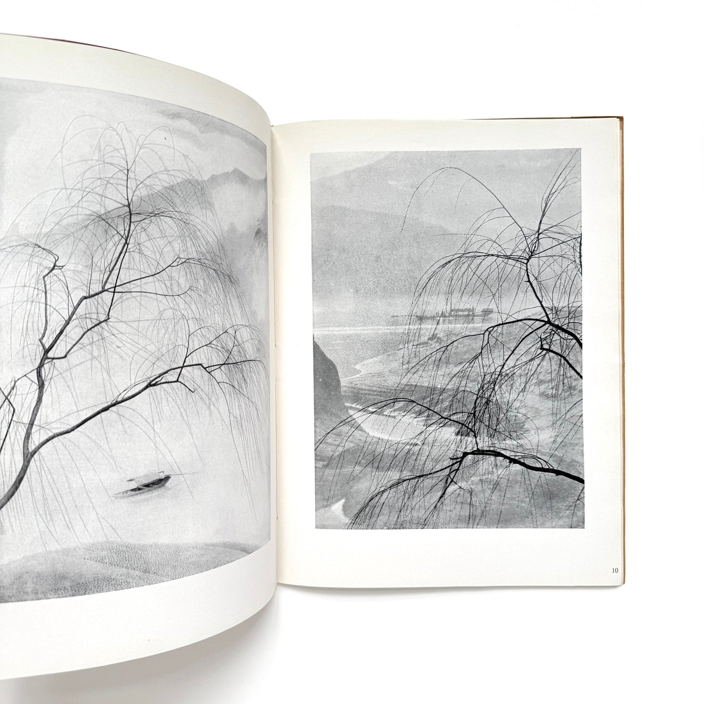Symphony in Black and White - Signed