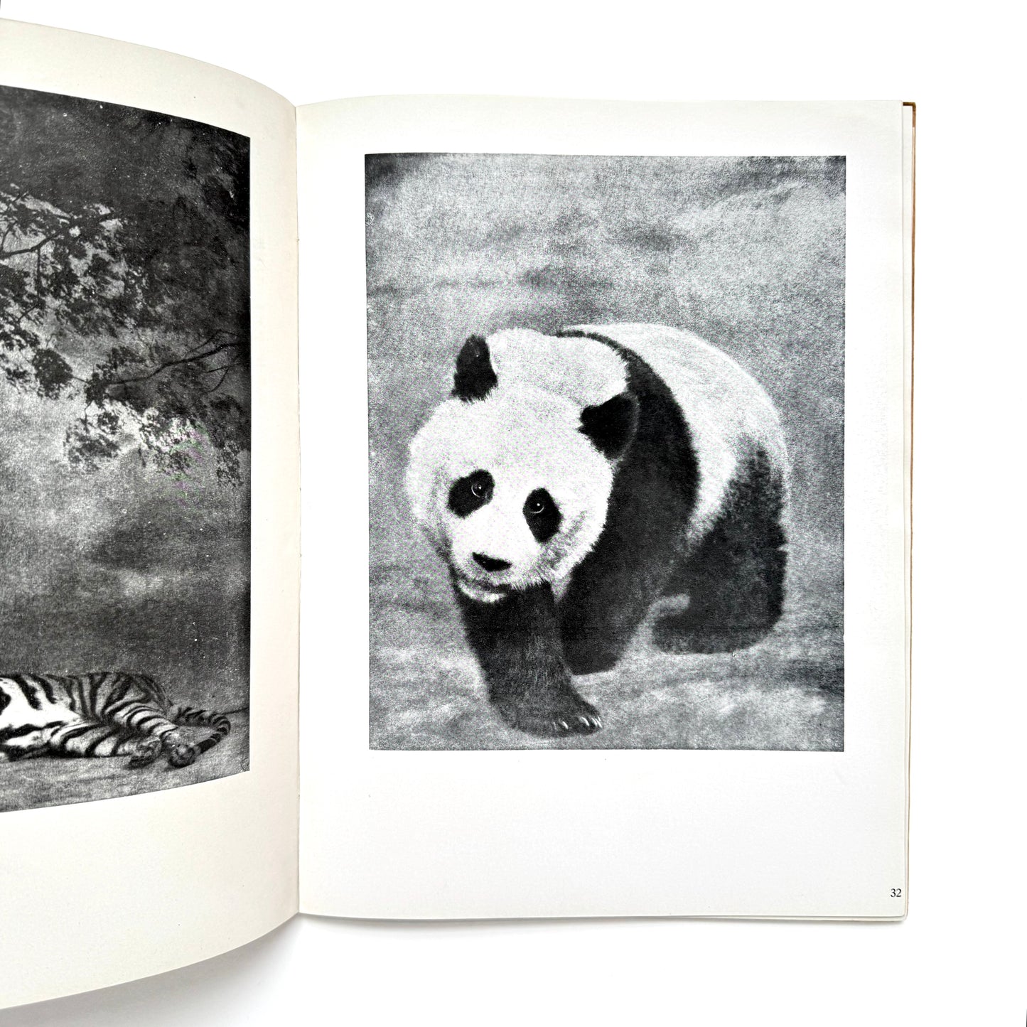 Symphony in Black and White - Signed