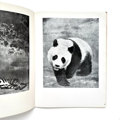 Symphony in Black and White - Signed