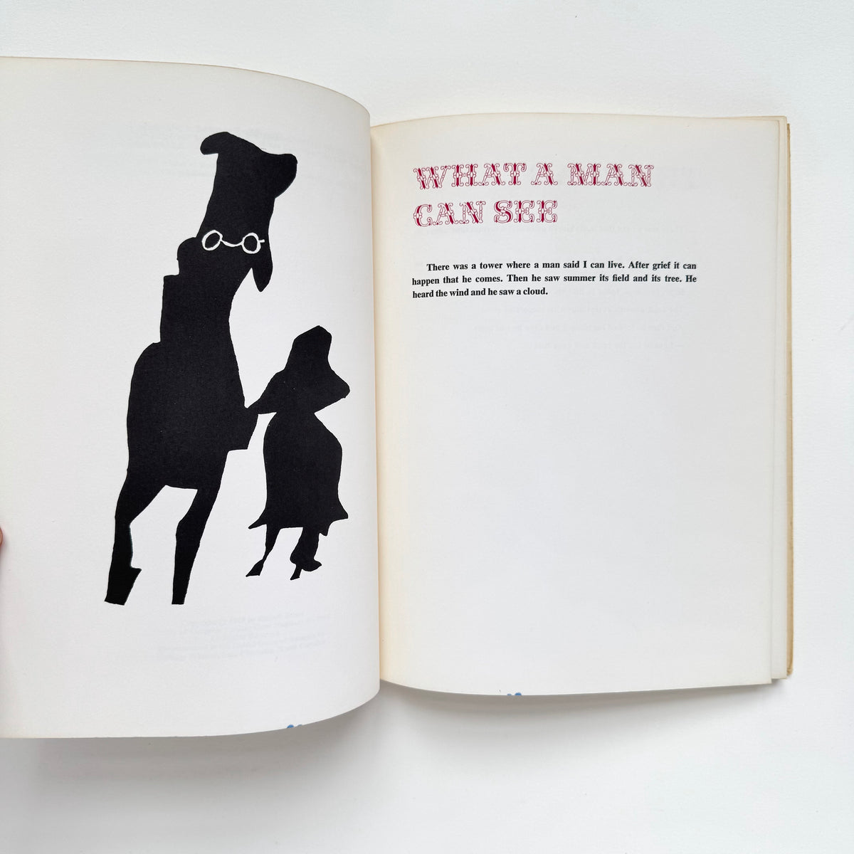 What a Man Can See (Jargon 37)