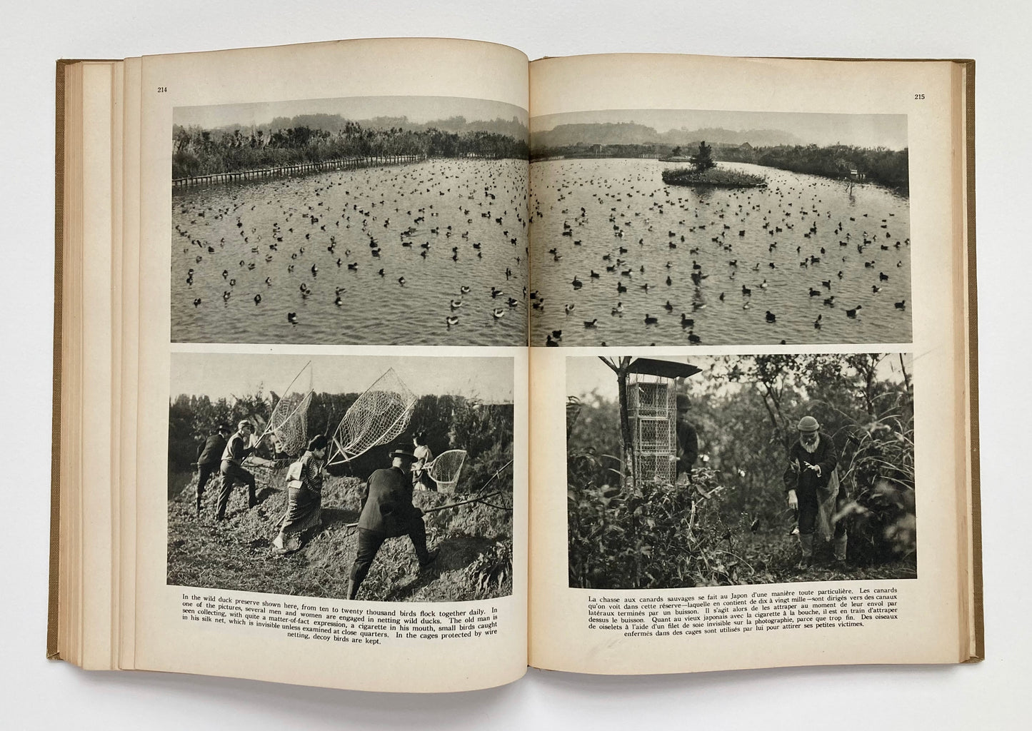 Changing Japan Seen Through the Camera