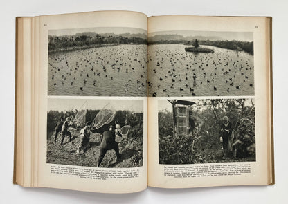 Changing Japan Seen Through the Camera