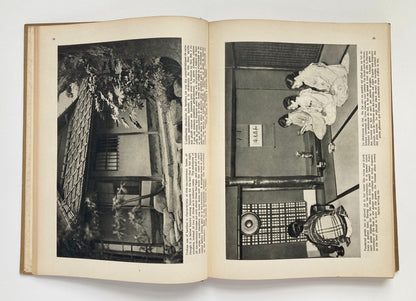 Changing Japan Seen Through the Camera