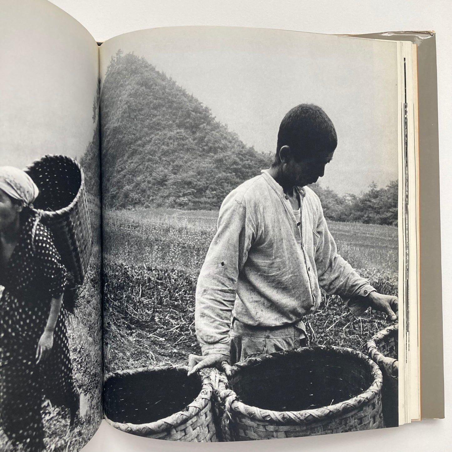 Peasants in a Rural Village