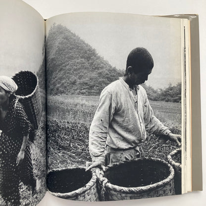 Peasants in a Rural Village