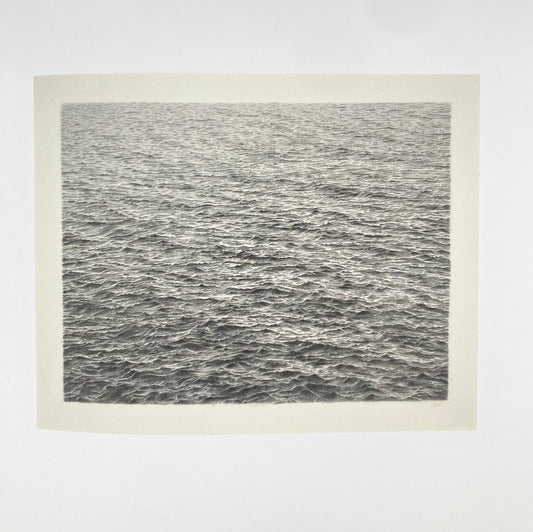 Vija Celmins: To Fix the Image in Memory