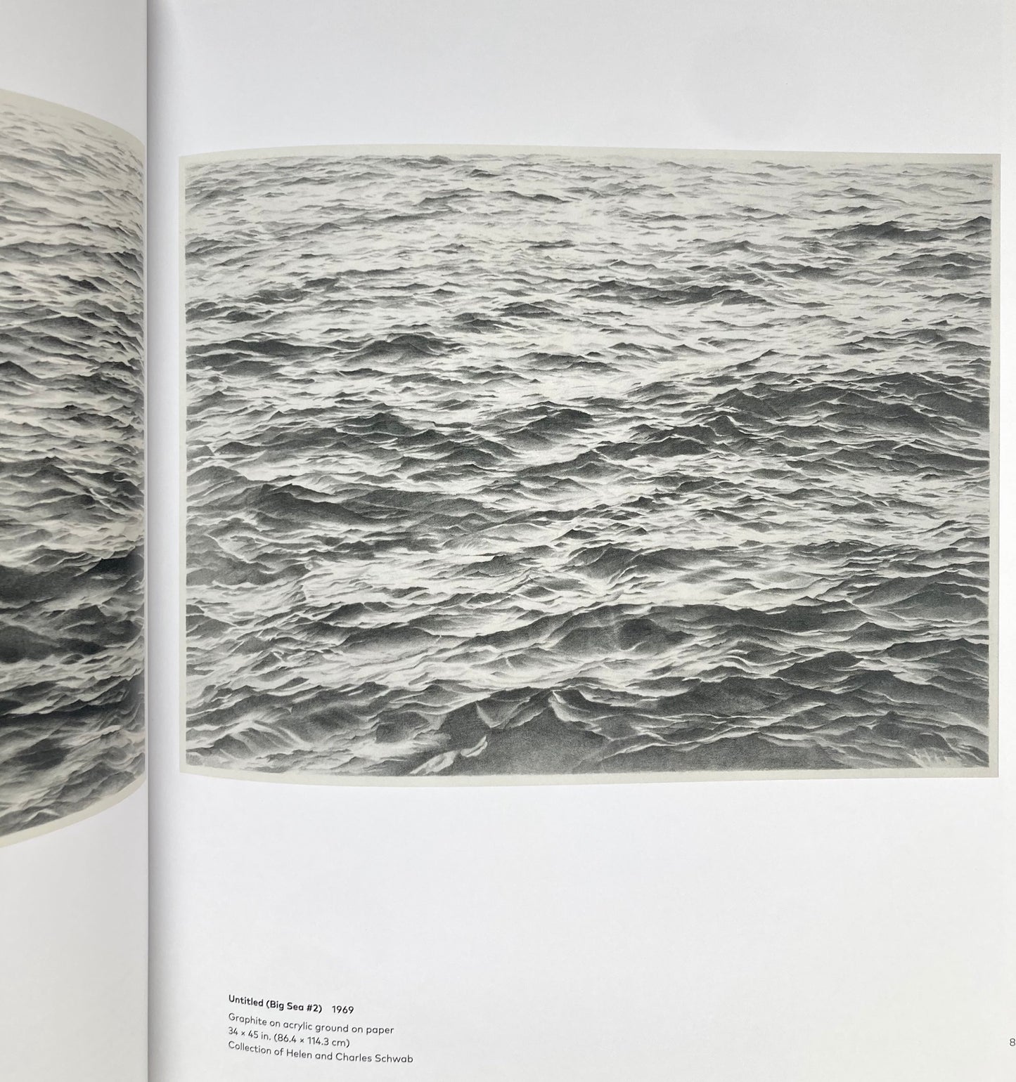 Vija Celmins: To Fix the Image in Memory