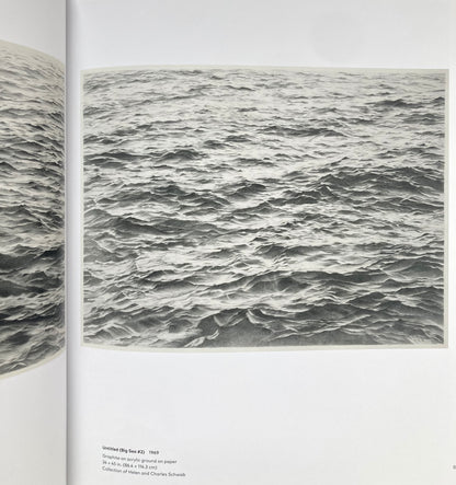 Vija Celmins: To Fix the Image in Memory