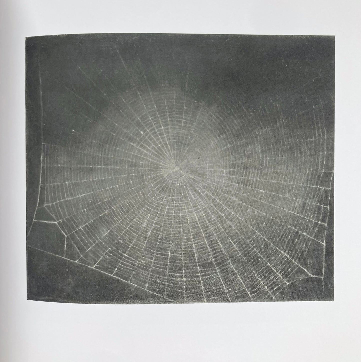 Vija Celmins: To Fix the Image in Memory