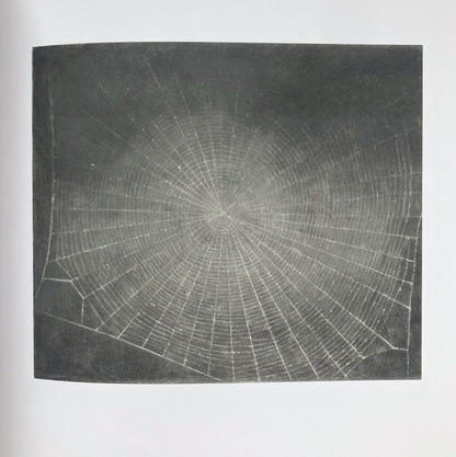 Vija Celmins: To Fix the Image in Memory