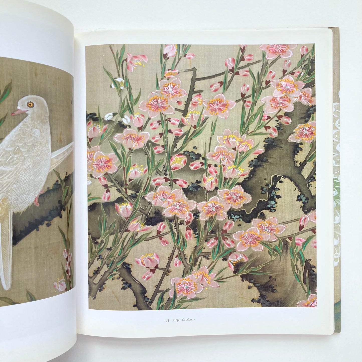 Colorful Realm: Japanese Bird-and-Flower Paintings by Ito Jakuchu