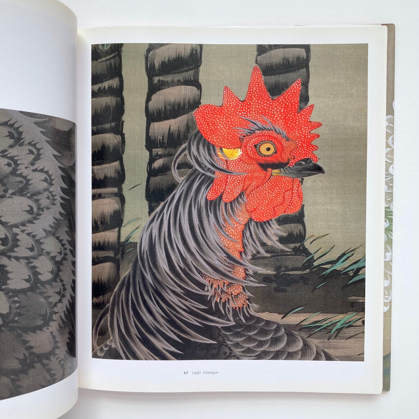 Colorful Realm: Japanese Bird-and-Flower Paintings by Ito Jakuchu