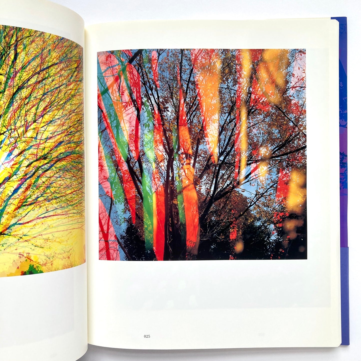 Color and Form
