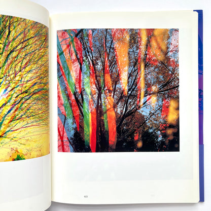 Color and Form