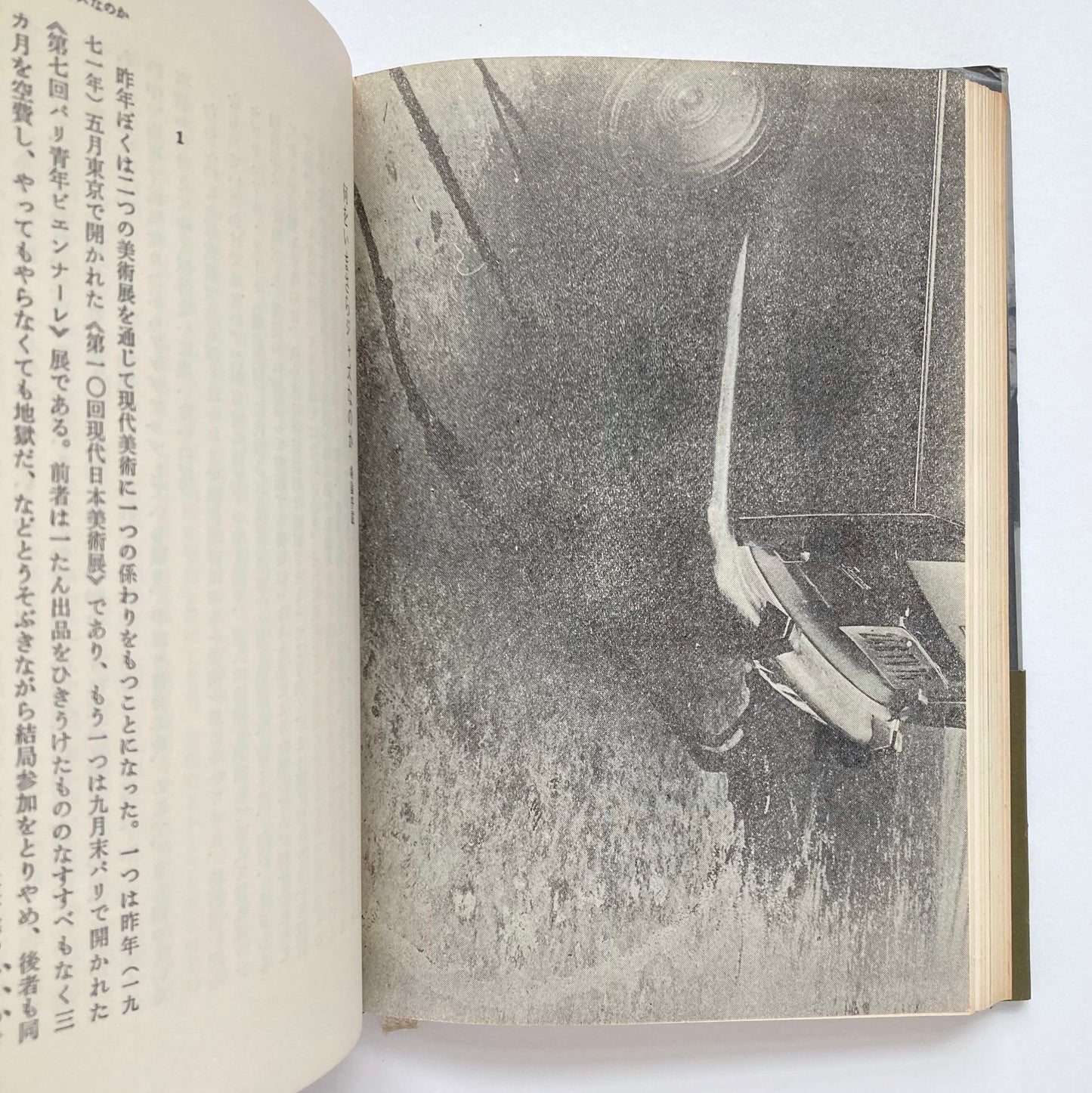 Why an Illustrated Botanical Dictionary?