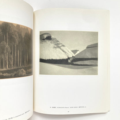 The Pictorial Landscape in Japanese Photography