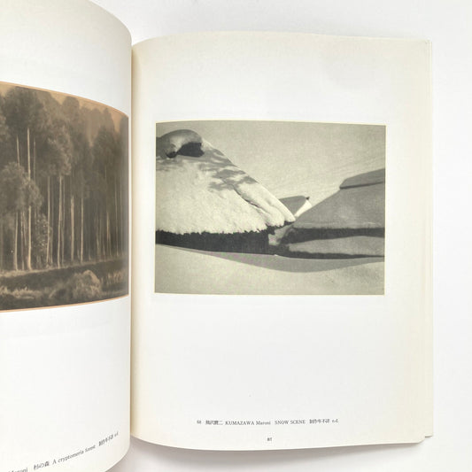 The Pictorial Landscape in Japanese Photography