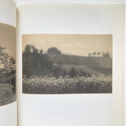 The Pictorial Landscape in Japanese Photography