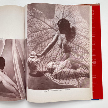 Photographic Works of Chin-San Long