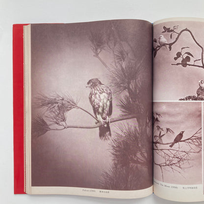 Photographic Works of Chin-San Long