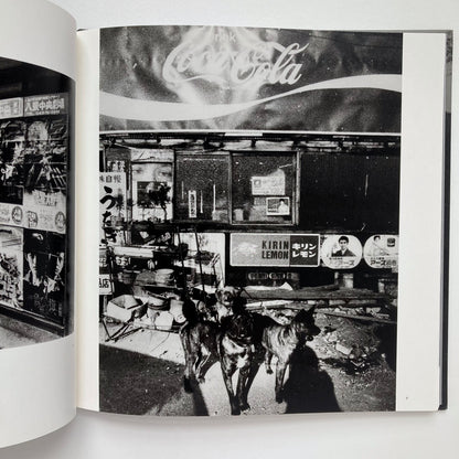 Beginnings: 1975