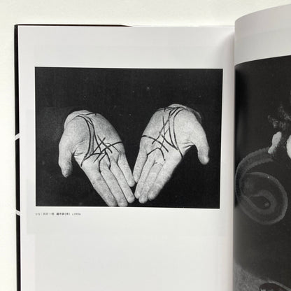 Avant-Garde Rising: The Photographic Vanguard in Modern Japan