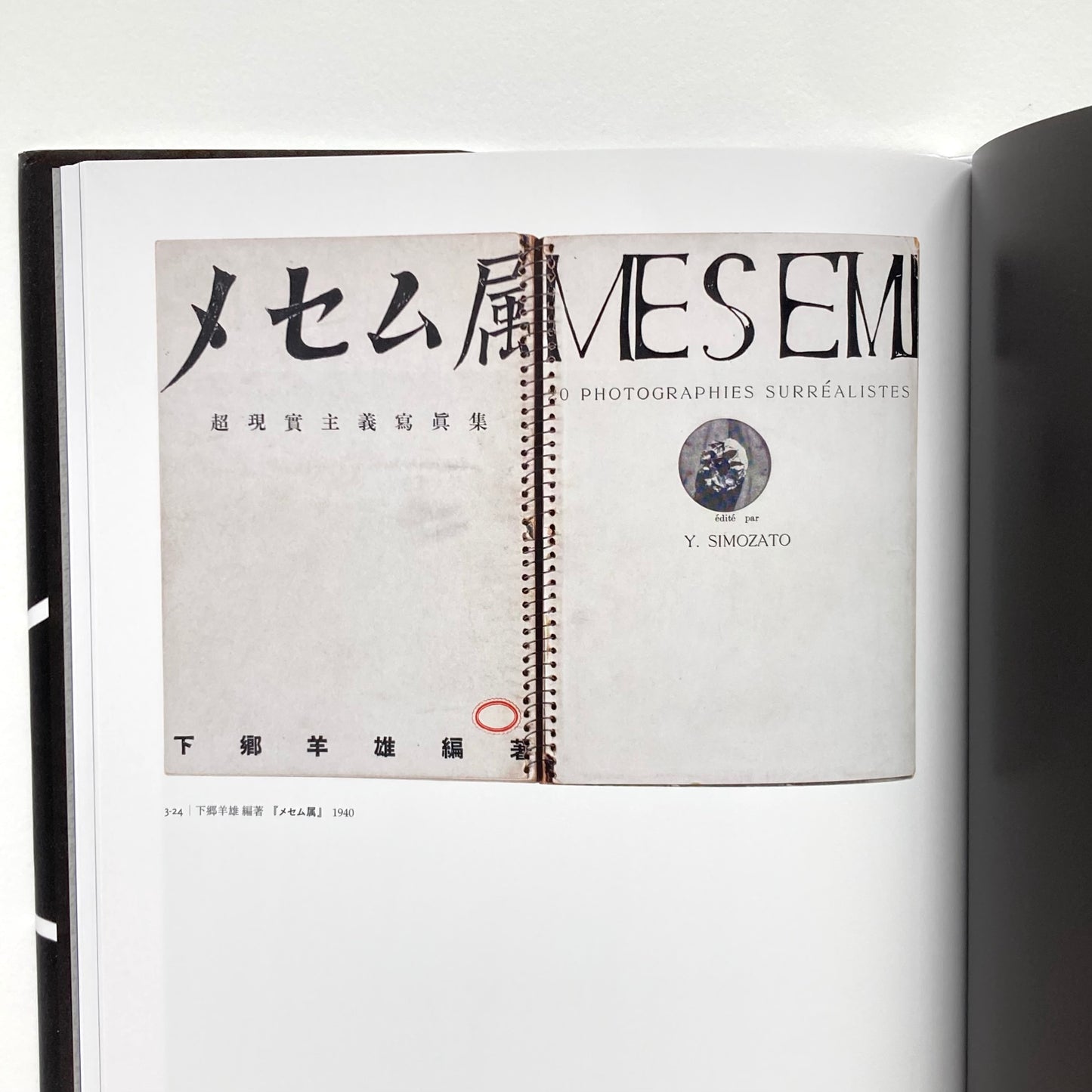 Avant-Garde Rising: The Photographic Vanguard in Modern Japan