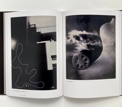 Avant-Garde Rising: The Photographic Vanguard in Modern Japan