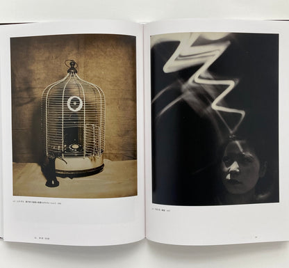 Avant-Garde Rising: The Photographic Vanguard in Modern Japan