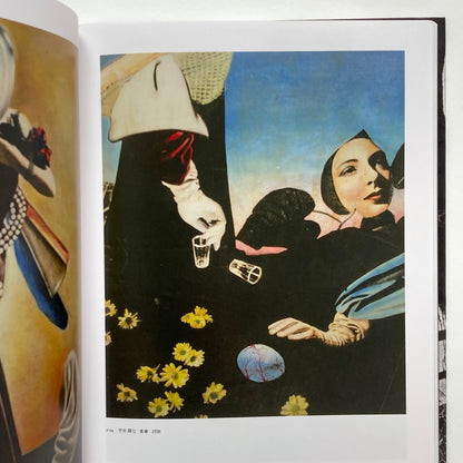 Avant-Garde Rising: The Photographic Vanguard in Modern Japan