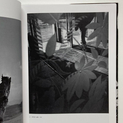 Avant-Garde Rising: The Photographic Vanguard in Modern Japan