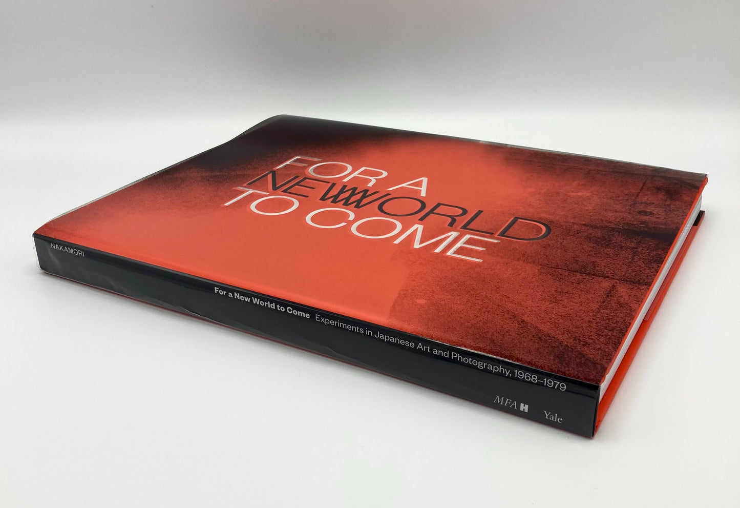 For a New World to Come: Experiments in Japanese Art and Photography, 1968–1979