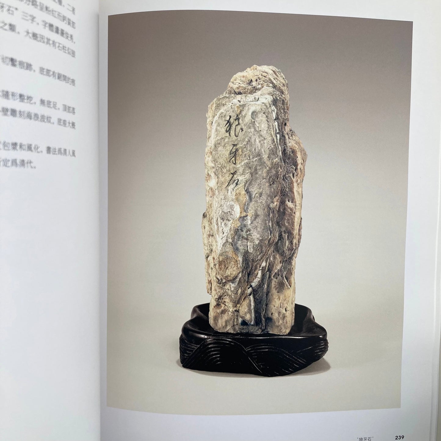 Classical Chinese Rocks